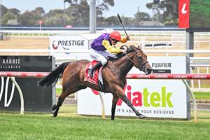 RINSE AND REPEAT FOR DAVIDA